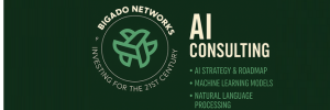 Bigado Networks