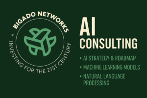 Bigado-Networks-AI-Logo-300x200